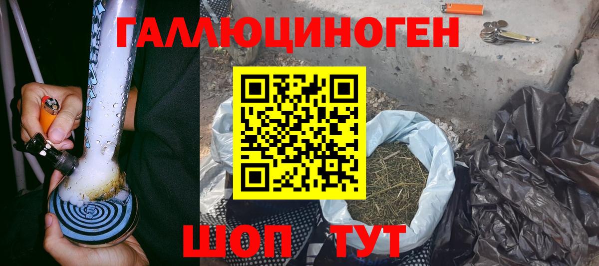 Будённовск  закладка  Вход с VPN  Псилоцибиновые грибы ЛСД 