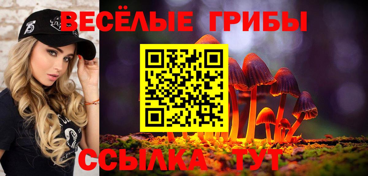 Галлюциногенные грибы мухоморы Будённовск