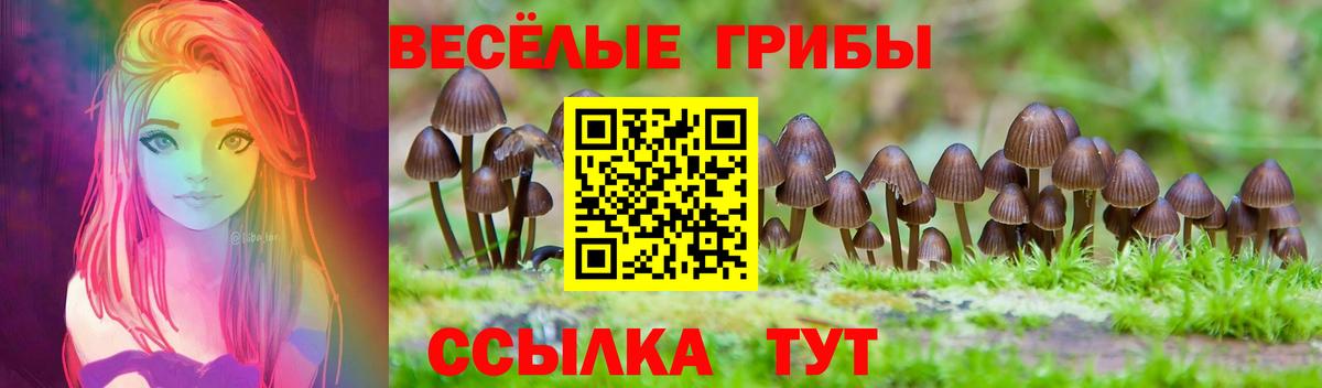 LSD-25  Будённовск  А ПВП СОЛЬ   Как найти закладки?  МЕФ кристаллы  ЭКСТАЗИ  ГАШИШ  МАРИХУАНА  Вход с VPN 